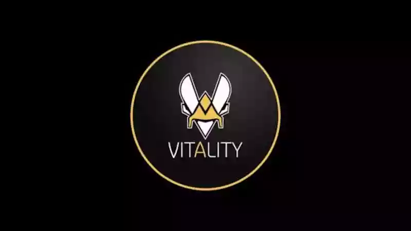 Natus Vincere - Team Vitality прогноз на матч по CS GO 14 12 2022